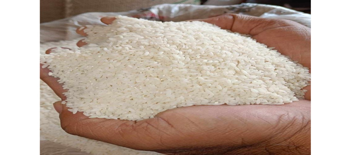 Fragrant rice can be exported until April 30